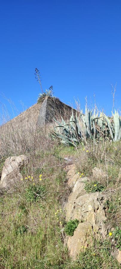 10 Da Muralha