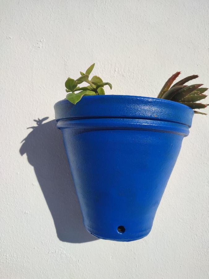10 Da Muralha Holiday home Estremoz